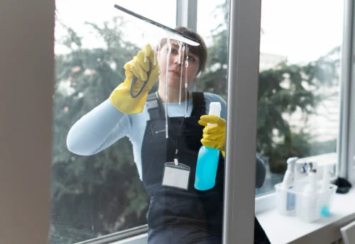 Nettoyage de vitres intérieures et extérieures à la Roche-des-Arnauds